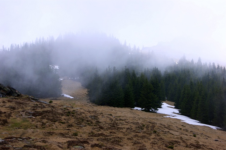 Foto: Andreas Koller / Wandertour / Von der steirischen Seite auf die Koralpe (2117m) / 15.05.2013 22:04:24