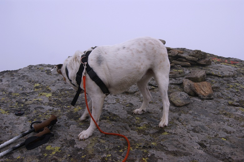 Foto: Andreas Koller / Wandertour / Von der steirischen Seite auf die Koralpe (2117m) / 15.05.2013 21:59:28