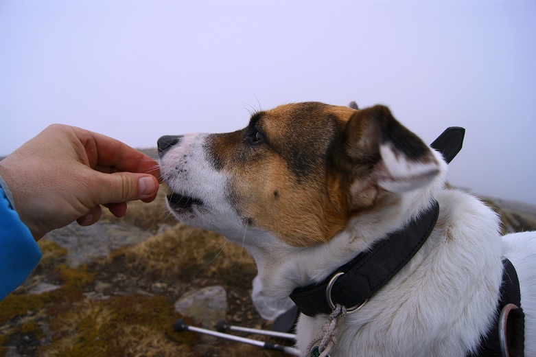 Foto: Andreas Koller / Wandertour / Von der steirischen Seite auf die Koralpe (2117m) / Apfel essen! / 15.05.2013 21:58:00