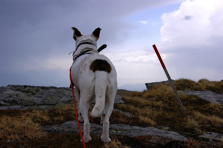Foto: Andreas Koller / Wandertour / Von der steirischen Seite auf die Koralpe (2117m) / Ausblick genießen! / 15.05.2013 21:57:33