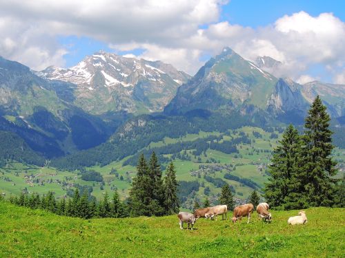 Foto: Wolfgang Dröthandl / Wandertour / Toggenburger Klangweg / Blick auf den Säntis im Norden / 03.07.2013 17:50:28