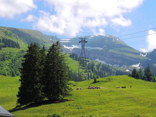 Foto: Wolfgang Dröthandl / Wandertour / Toggenburger Klangweg / Blick von Iltios zum Chäserrugg (Luftseilbahn) / 03.07.2013 17:49:08