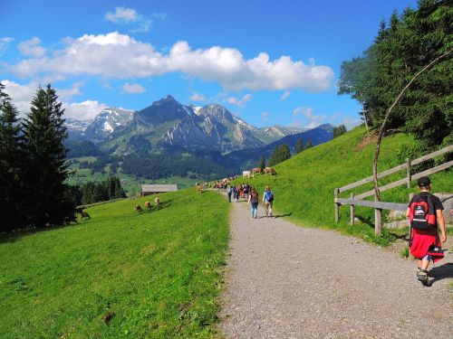 Foto: Wolfgang Dröthandl / Wandertour / Toggenburger Klangweg / Auf dem Weg zur Freienalp / 03.07.2013 17:29:38