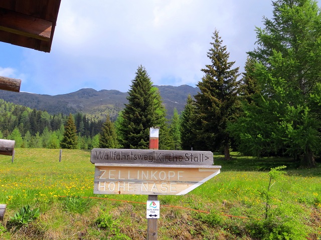 Foto: Andreas Koller / Wandertour / Vom Marterle auf den Leitenkopf (2449m) / Das ist die falsche Richtung! / 05.07.2013 21:05:11