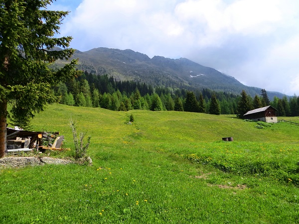 Foto: Andreas Koller / Wandertour / Vom Marterle auf den Leitenkopf (2449m) / 05.07.2013 21:04:28