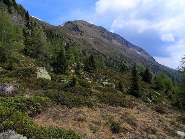 Foto: Andreas Koller / Wandertour / Vom Marterle auf den Leitenkopf (2449m) / Blick zum Leitenkopf / 05.07.2013 21:02:23
