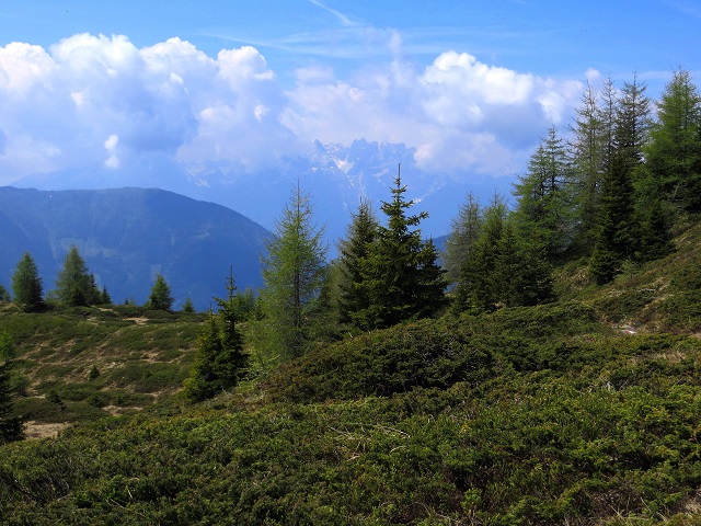 Foto: Andreas Koller / Wandertour / Vom Marterle auf den Leitenkopf (2449m) / 05.07.2013 21:02:05