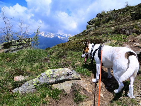 Foto: Andreas Koller / Wandertour / Vom Marterle auf den Leitenkopf (2449m) / 05.07.2013 21:01:44
