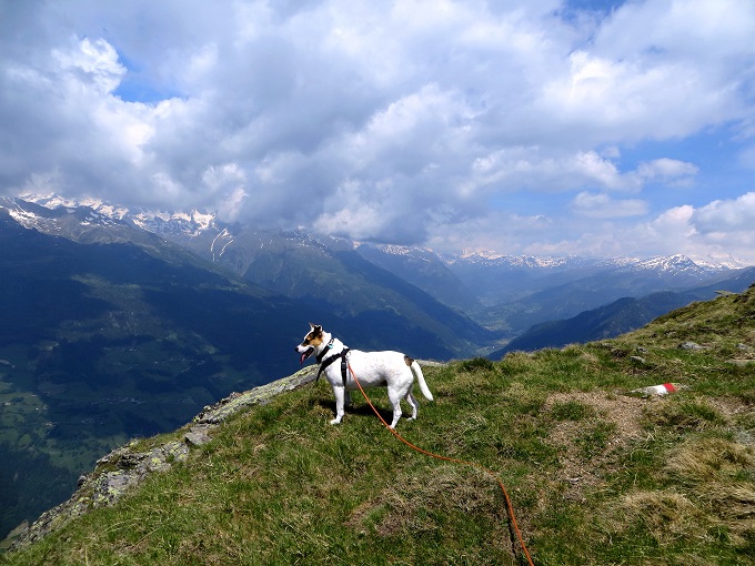Foto: Andreas Koller / Wandertour / Vom Marterle auf den Leitenkopf (2449m) / 05.07.2013 21:01:33