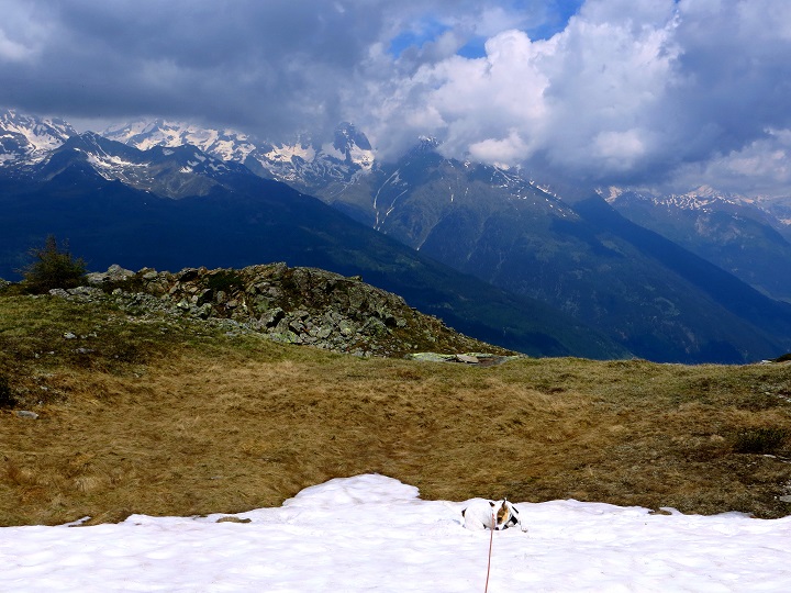 Foto: Andreas Koller / Wandertour / Vom Marterle auf den Leitenkopf (2449m) / Am Ebeneck / 05.07.2013 21:01:26