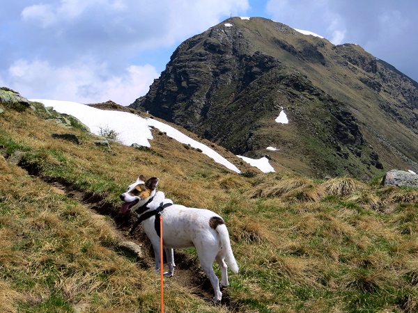 Foto: Andreas Koller / Wandertour / Vom Marterle auf den Leitenkopf (2449m) / 05.07.2013 21:00:56