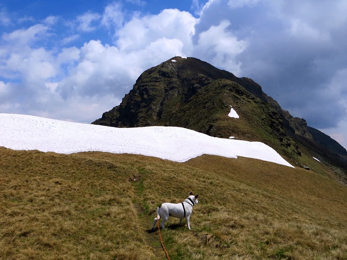 Foto: Andreas Koller / Wandertour / Vom Marterle auf den Leitenkopf (2449m) / Im Sattel vor dem Leitenkopf / 05.07.2013 21:00:23