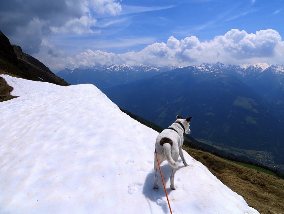 Foto: Andreas Koller / Wandertour / Vom Marterle auf den Leitenkopf (2449m) / 05.07.2013 21:00:02