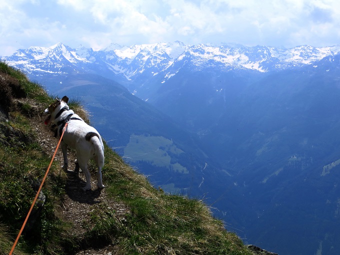 Foto: Andreas Koller / Wandertour / Vom Marterle auf den Leitenkopf (2449m) / 05.07.2013 20:59:52