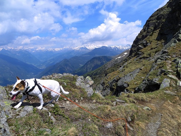 Foto: Andreas Koller / Wandertour / Vom Marterle auf den Leitenkopf (2449m) / 05.07.2013 20:59:41