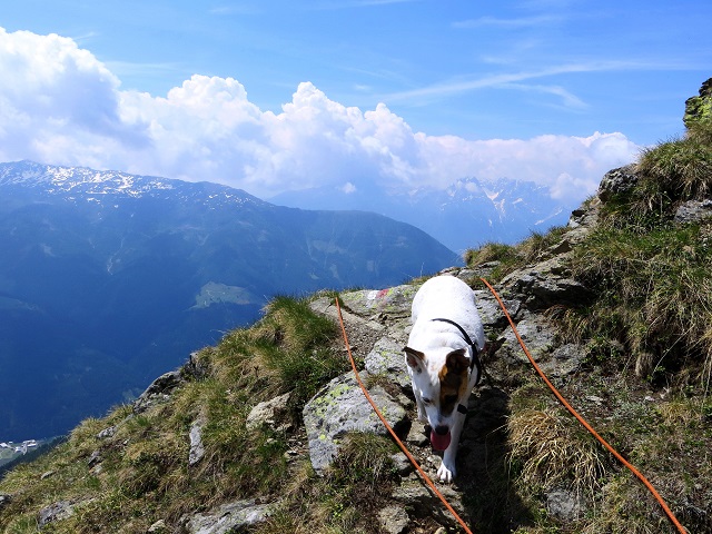 Foto: Andreas Koller / Wandertour / Vom Marterle auf den Leitenkopf (2449m) / 05.07.2013 20:59:21