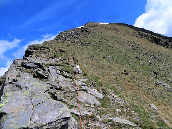 Foto: Andreas Koller / Wandertour / Vom Marterle auf den Leitenkopf (2449m) / Gipfelflanke zum Leitenkopf / 05.07.2013 20:59:02
