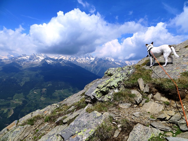 Foto: Andreas Koller / Wandertour / Vom Marterle auf den Leitenkopf (2449m) / 05.07.2013 20:58:33
