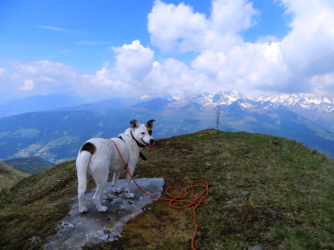 Foto: Andreas Koller / Wandertour / Vom Marterle auf den Leitenkopf (2449m) / Ein absolut kühles Plätzchen am Leitenkopf / 05.07.2013 20:58:21