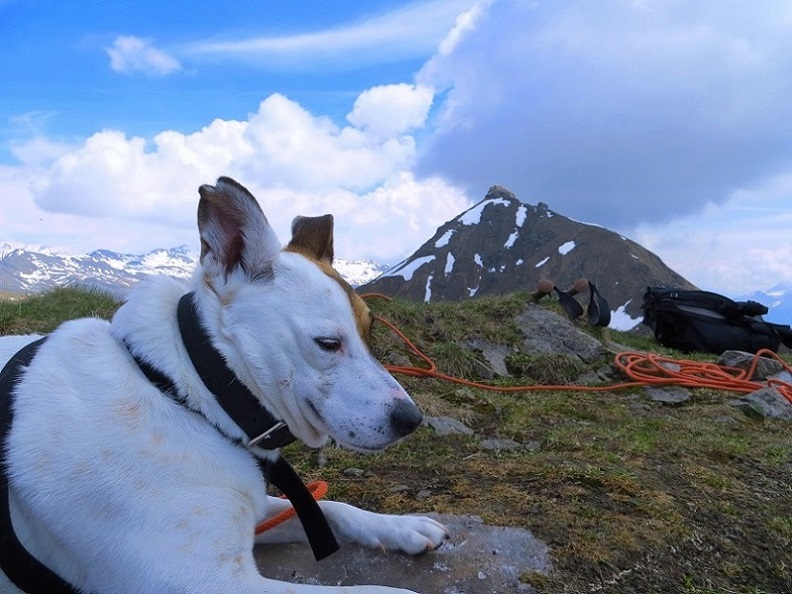 Foto: Andreas Koller / Wandertour / Vom Marterle auf den Leitenkopf (2449m) / 05.07.2013 20:56:12