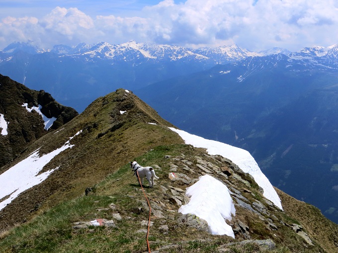 Foto: Andreas Koller / Wandertour / Vom Marterle auf den Leitenkopf (2449m) / 05.07.2013 20:55:51