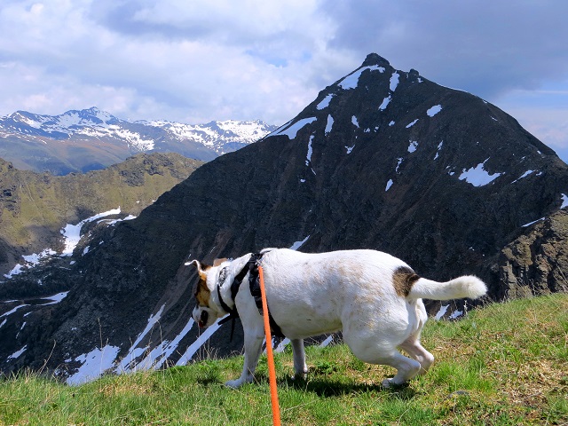 Foto: Andreas Koller / Wandertour / Vom Marterle auf den Leitenkopf (2449m) / 05.07.2013 20:54:33