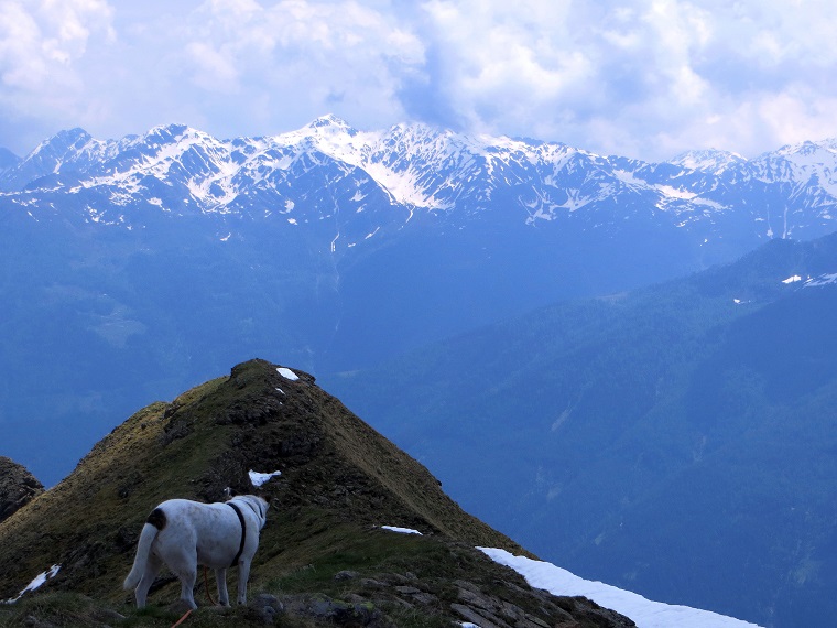 Foto: Andreas Koller / Wandertour / Vom Marterle auf den Leitenkopf (2449m) / Kreuzeckgruppe / 05.07.2013 20:54:02