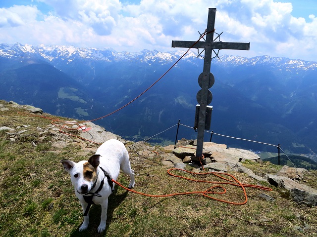 Foto: Andreas Koller / Wandertour / Vom Marterle auf den Leitenkopf (2449m) / 05.07.2013 20:53:24