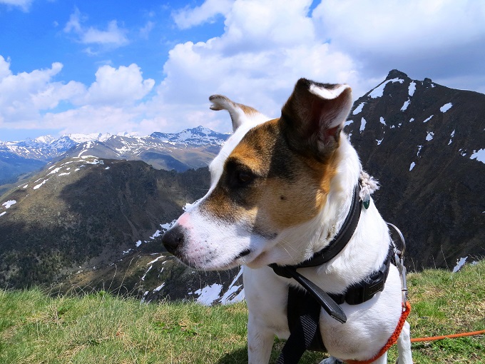 Foto: Andreas Koller / Wandertour / Vom Marterle auf den Leitenkopf (2449m) / 05.07.2013 20:53:14