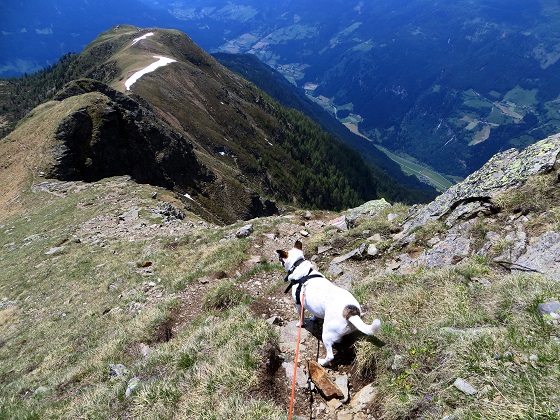 Foto: Andreas Koller / Wandertour / Vom Marterle auf den Leitenkopf (2449m) / Abstieg vom Leitenkopf / 05.07.2013 20:52:43