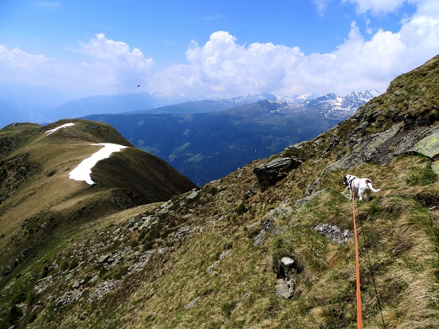 Foto: Andreas Koller / Wandertour / Vom Marterle auf den Leitenkopf (2449m) / 05.07.2013 20:52:00