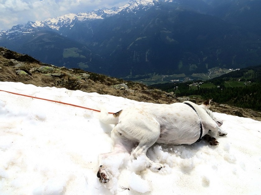 Foto: Andreas Koller / Wandertour / Vom Marterle auf den Leitenkopf (2449m) / Tolle Abkühlung! / 05.07.2013 20:51:49