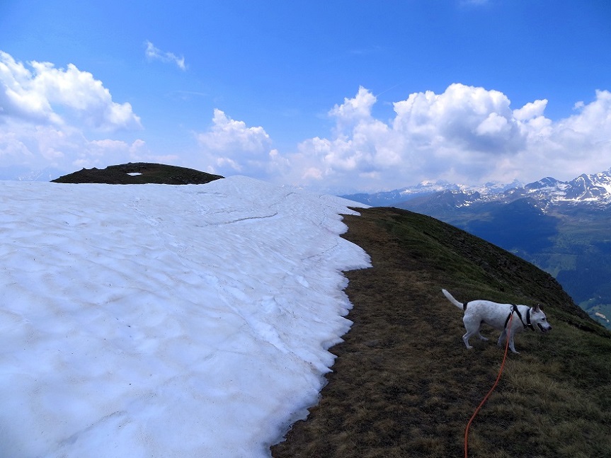 Foto: Andreas Koller / Wandertour / Vom Marterle auf den Leitenkopf (2449m) / 05.07.2013 20:51:24