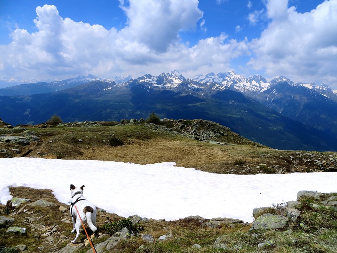 Foto: Andreas Koller / Wandertour / Vom Marterle auf den Leitenkopf (2449m) / 05.07.2013 20:51:15