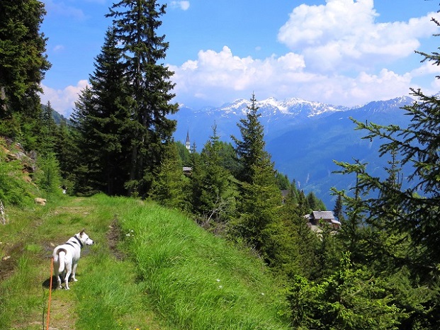 Foto: Andreas Koller / Wandertour / Vom Marterle auf den Leitenkopf (2449m) / Bald zurück beim Marterle / 05.07.2013 20:50:57