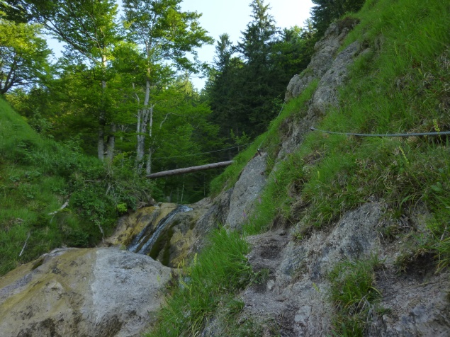 Foto: Manfred Karl / Klettersteigtour / Hausbachfall Klettersteig / Baumstammbrücke - Ende des Klettersteiges / 11.07.2013 22:03:43