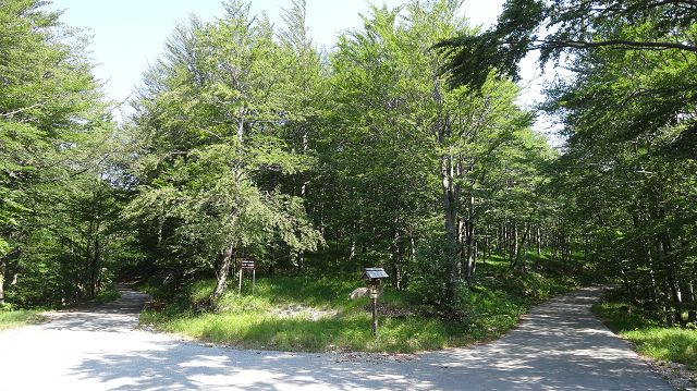 Foto: Datzi / Wandertour / Bergtour auf den Risnjak (1528m) und Snjeznik mit Biwak (1505m) / Bei der Anfahrt zum Parkplatz hier hält man sich rechts / 30.07.2013 18:31:45