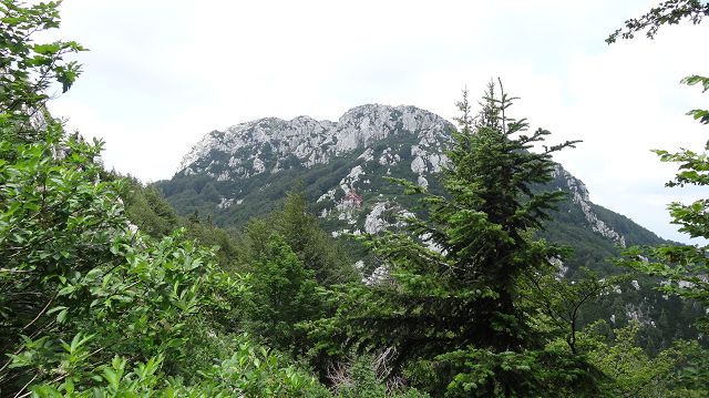 Foto: Datzi / Wandertour / Bergtour auf den Risnjak (1528m) und Snjeznik mit Biwak (1505m) / Blick zum Risnjak beim Anstieg über dem Grat / 30.07.2013 18:32:50