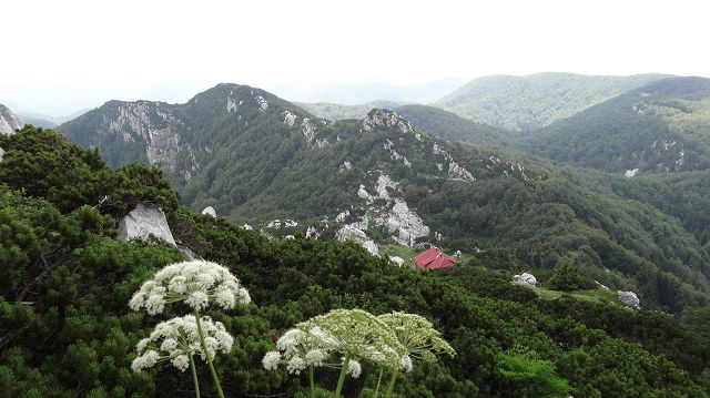 Foto: Datzi / Wandertour / Bergtour auf den Risnjak (1528m) und Snjeznik mit Biwak (1505m) / Blick zum Dom beim Anstieg / 30.07.2013 18:33:34