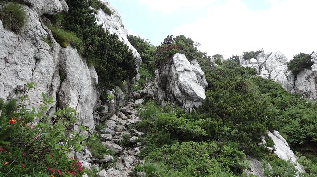 Foto: Datzi / Wandertour / Bergtour auf den Risnjak (1528m) und Snjeznik mit Biwak (1505m) / Der Weg zum Gipfel, leichte Kletterstellen / 30.07.2013 18:33:52