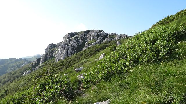 Foto: Datzi / Wandertour / Bergtour auf den Risnjak (1528m) und Snjeznik mit Biwak (1505m) / Der Anstieg zum Snjeznik sobald man aus dem Wald kommt / 30.07.2013 18:38:59