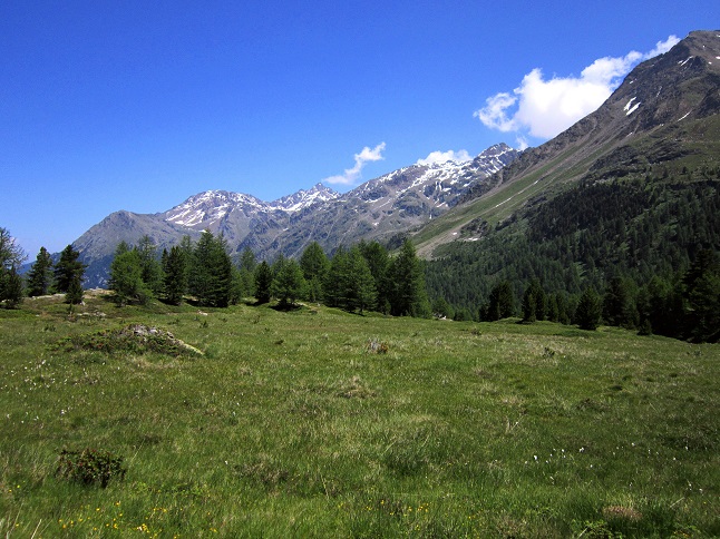 Foto: Andreas Koller / Klettersteigtour / Murmele Klettersteig / Via ferrata Marmotta (2330m) / 14.08.2013 23:47:15
