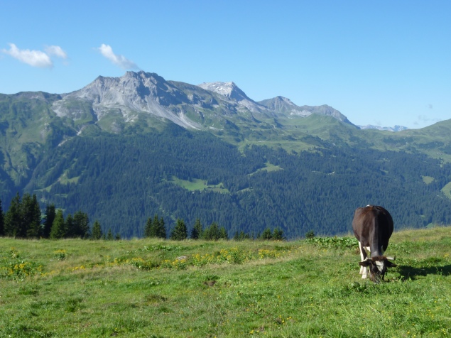 Foto: Manfred Karl / Wandertour / Saaser Calanda und Rätschenhorn / Grünhorn, Casanna und Weissfluh - Gipfel der Plessuralpen (siehe Alpintouren.com) / 01.09.2013 21:11:49