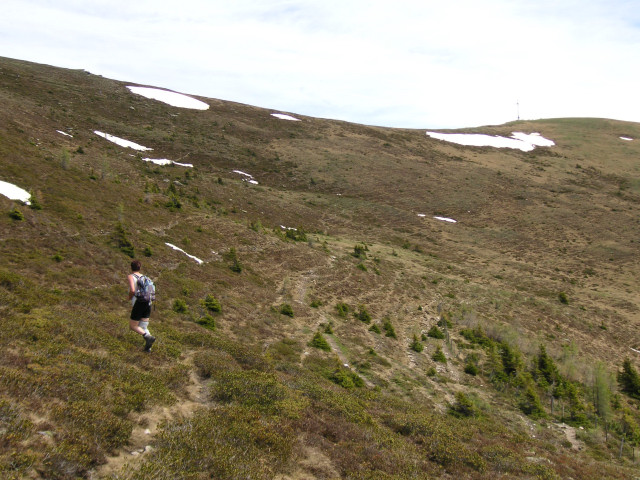 Foto: Wolfgang Lauschensky / Wandertour / Goldeck (2142m) - Bike&Hike / Querung zum Martennock / 27.09.2013 18:33:13