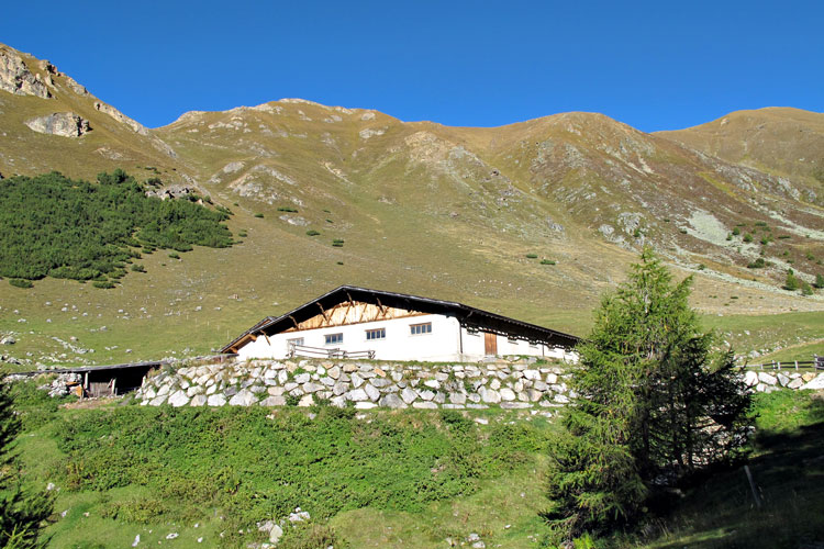 Foto: vince 51 / Wandertour / Von Graun auf den Habicher Kopf / Grauner Alm / 05.10.2013 19:19:06