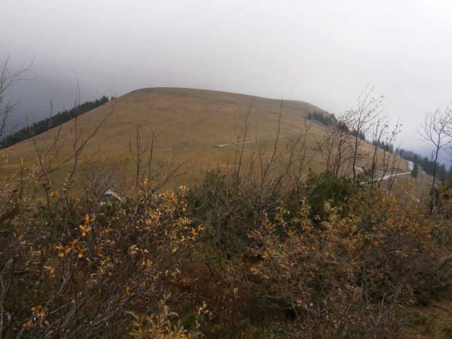 Foto: Manfred Karl / Wandertour / Vom Seewaldsee auf den Trattberg / Trattberg von der Gitschenwand aus gesehen (Gipfel im Nebel) / 31.10.2013 22:04:49