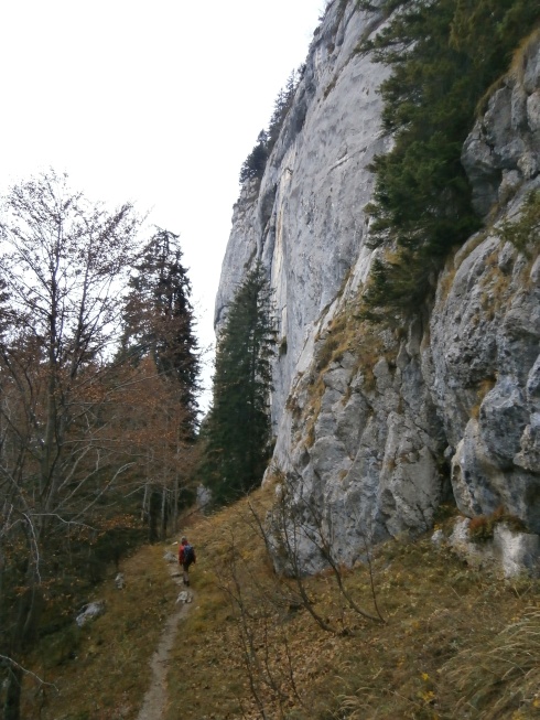 Foto: Manfred Karl / Wandertour / Vom Seewaldsee auf den Trattberg / Am Fuß der Gitschenwand / 31.10.2013 22:01:23