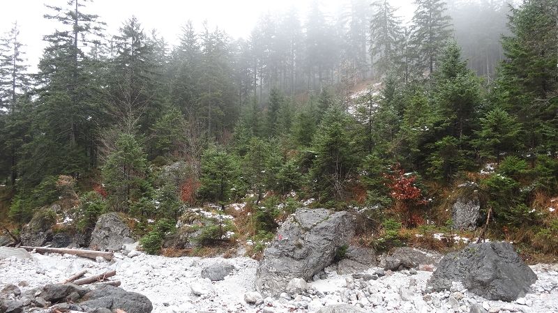 Foto: Datzi / Wandertour / Vom Brunnsee über die Eiblschlucht zum Hinteren Polster (Biwak) 2057m / Hier führt der Weg ins Bachbeet (ab hier ist der Weg gut markiert) / 18.11.2013 19:07:33