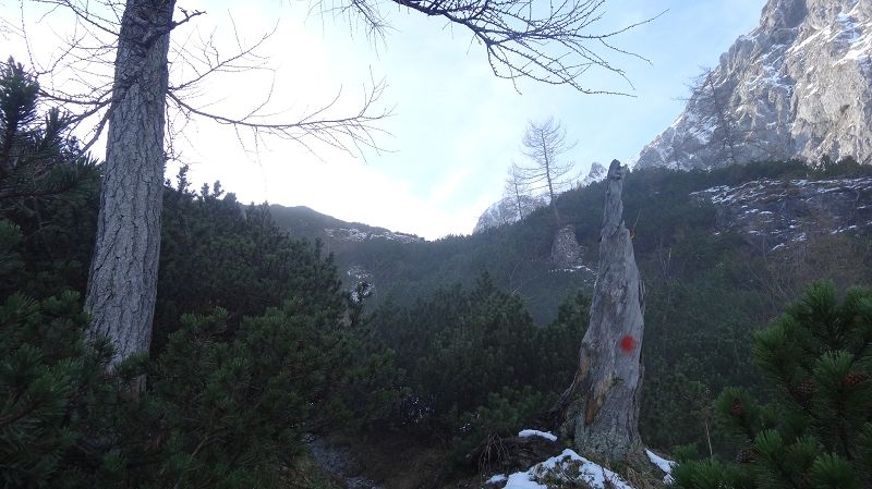 Foto: Datzi / Wandertour / Vom Brunnsee über die Eiblschlucht zum Hinteren Polster (Biwak) 2057m / immer gut markiert im Waldbereich / 18.11.2013 19:08:11