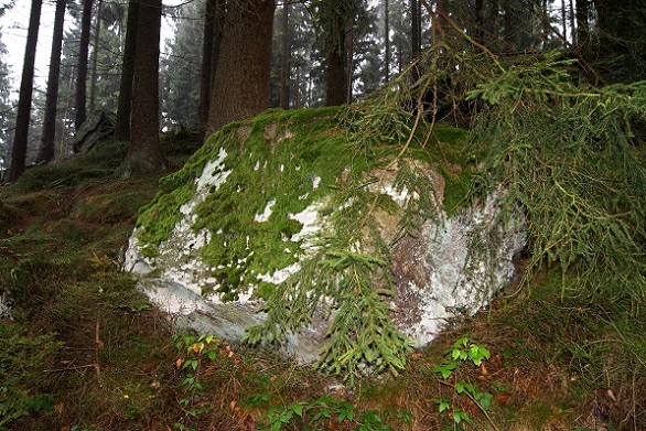 Foto: Andreas Koller / Wandertour / Ostrong - mystisches Waldviertel (1061m) / 22.12.2013 23:57:43